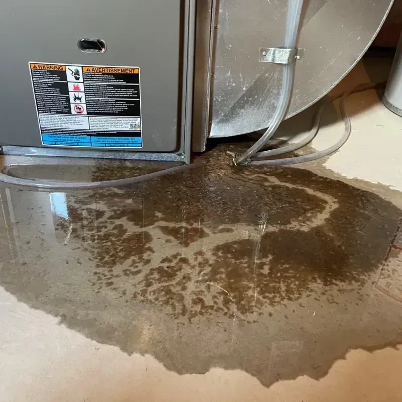 Appliance Leak Cleanup in Grant County, KS